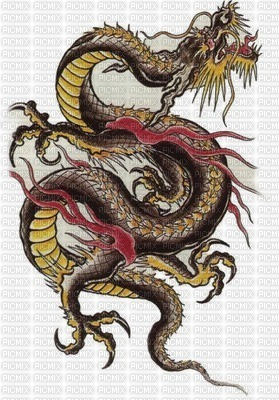 chinese dragon - zdarma png