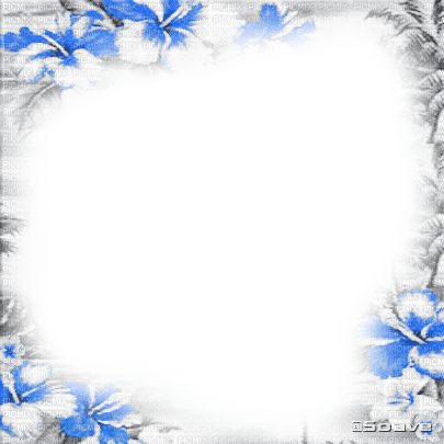 soave frame summer flowers tropical black white - 免费PNG