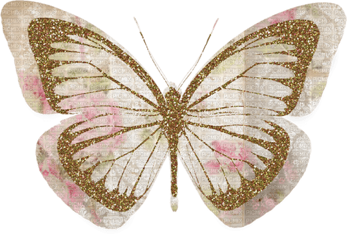 paper butterfly Bb2 - PNG gratuit