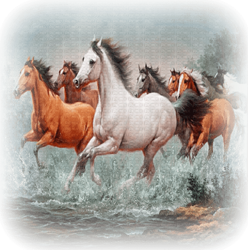 pferd horse milla1959 - PNG gratuit