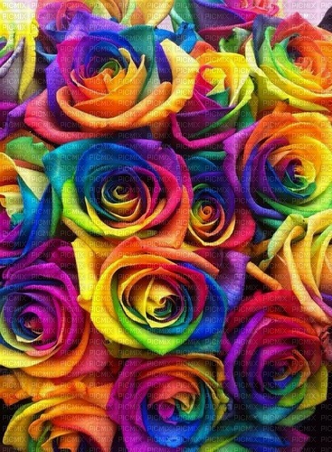 Rainbow Roses background jpg - 無料png