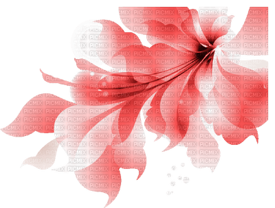 Flower, Flowers,  Red, Deco, Decoration - Jitter.Bug.Girl - PNG gratuit