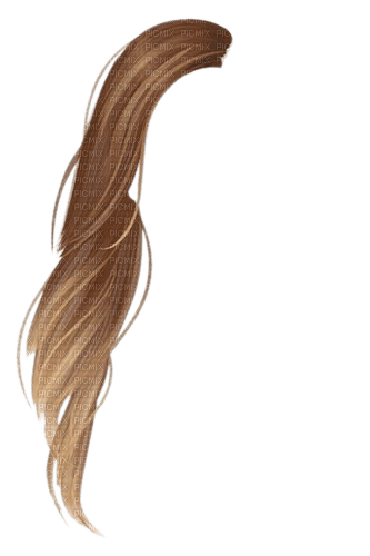 cheveux - 免费PNG