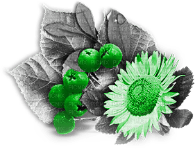 soave deco autumn flowers sunflowers branch - безплатен png
