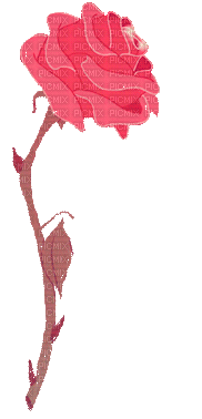 rose rose.Cheyenne63 - GIF animate gratis