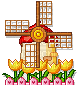 Mill and Tulips - Free animated GIF