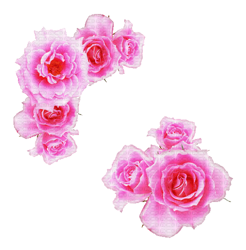 Pink Roses - Besplatni animirani GIF