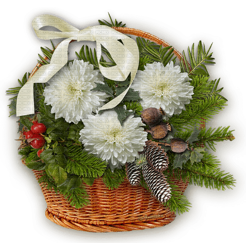 flowers--blommor - PNG gratuit