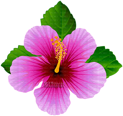 Y.A.M._Fantasy Summer flowers - ilmainen png