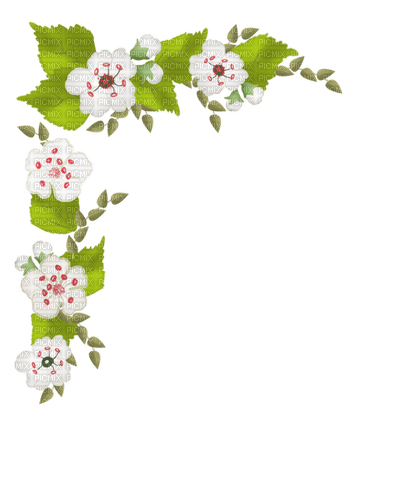 Flower Border - Free PNG