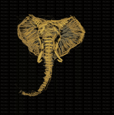 elefant - Animovaný GIF zadarmo