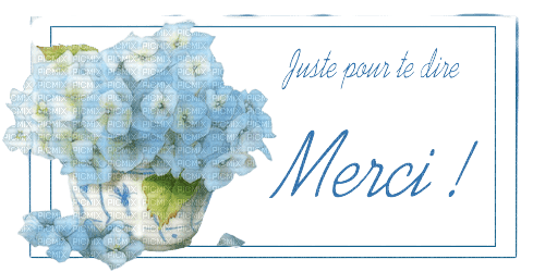 maj merci - 無料png