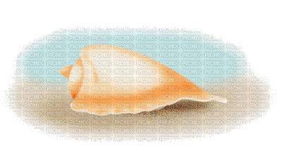 shell anastasia - Ingyenes animált GIF