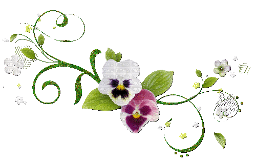 Blumen Dekoration - Ücretsiz animasyonlu GIF