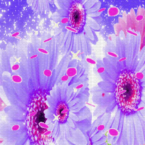 Ve / BG.anim.fantasy.flowers.purple.idca - GIF เคลื่อนไหวฟรี