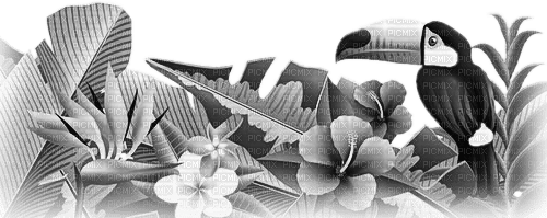 soave deco summer tropical flowers branch bird - PNG gratuit