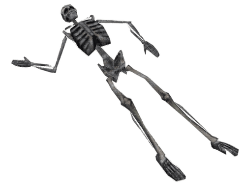 half life skeleton - 免费PNG