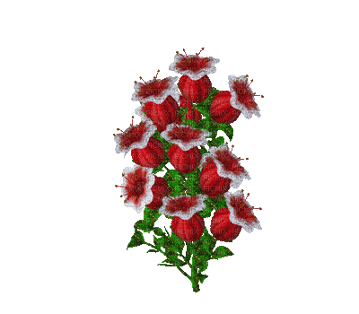 piros virág - Gratis animeret GIF