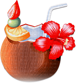 soave deco summer tropical flowers fruit cocktail - 無料png