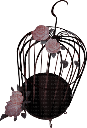 ✶ Cage {by Merishy} ✶ - PNG gratuit