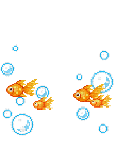 goldfish - Ilmainen animoitu GIF