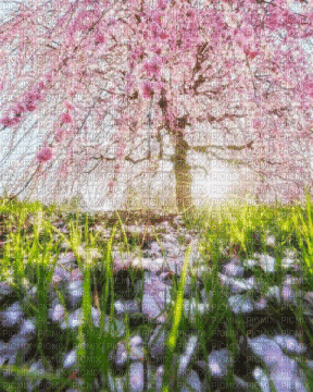 animated spring background - 無料のアニメーション GIF