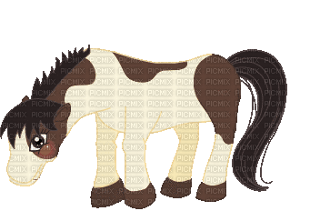 Pony - Gratis animeret GIF
