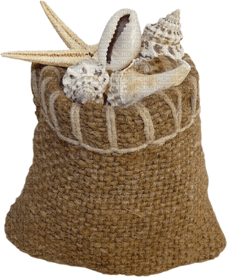 bag with shells - png ฟรี