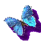 Butterfly - Gratis geanimeerde GIF