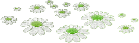 soave deco flowers scrap floor daisy white green - Free PNG