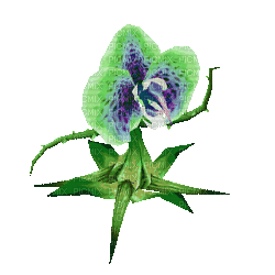 abstract abstrakt abstrait art effect tube effet gif  anime animated animation deco flower fleur blume dance plant - GIF animé gratuit