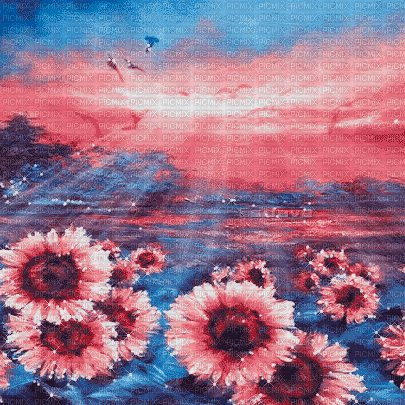 soave background animated  sunflowers  pink blue - Бесплатный анимированный гифка