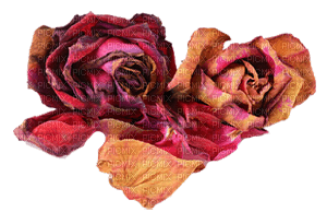 Roses vintage - png gratuito