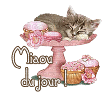 Miaou du jour ! - Безплатен анимиран GIF