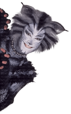 Cats  the musical bp - darmowe png