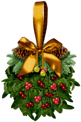Mistletoe.Brown.Gold.Green.Pink.Red - Free PNG