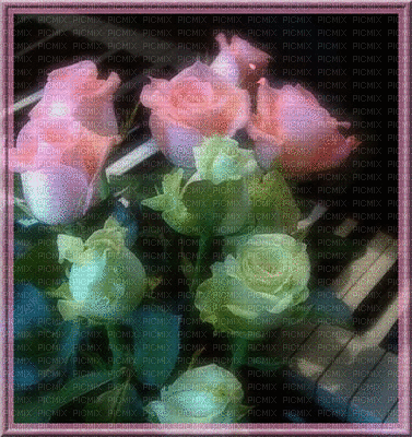 En rose - GIF animado grátis