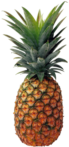 Pineapple ananas - фрее пнг