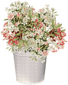 påsk-blommor - gratis png