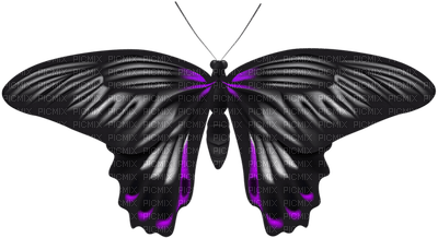 All  my butterflys - бесплатно png