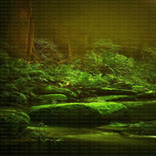 Y.A.M._Fantasy Landscape background - PNG gratuit