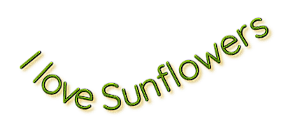 Sunflowers.Text.deco.Victoriabea - 無料png