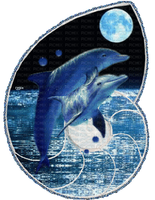dolphin - GIF animado gratis