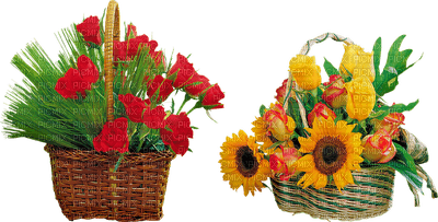 kukka, fleur, flower - zadarmo png