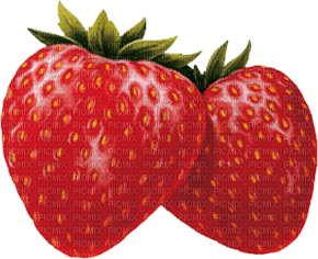 fruit - 無料png