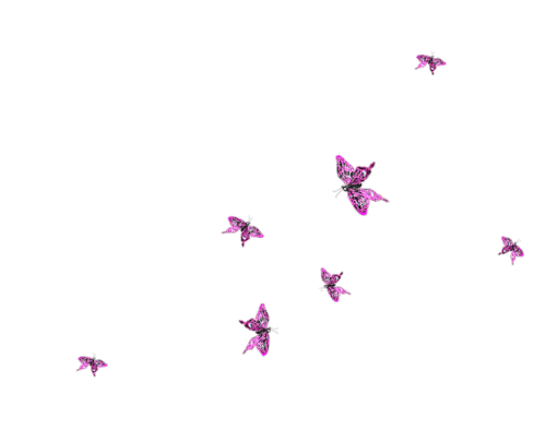 Papillons - zdarma png