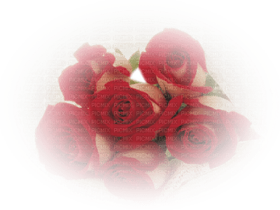 rose rouge.Cheyenne63 - бесплатно png