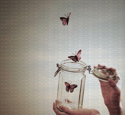 papillons - zdarma png