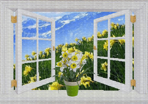 Fenster, Blumen, Panorama - GIF animado grátis