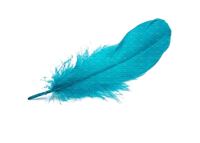 teal  feather - 無料png